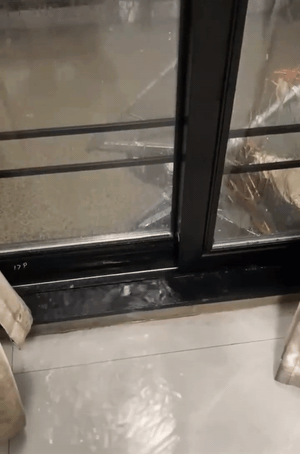 1625203644.gif