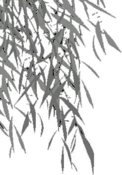 640.webp (6).png